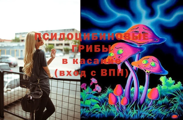 МДМА Алексеевка